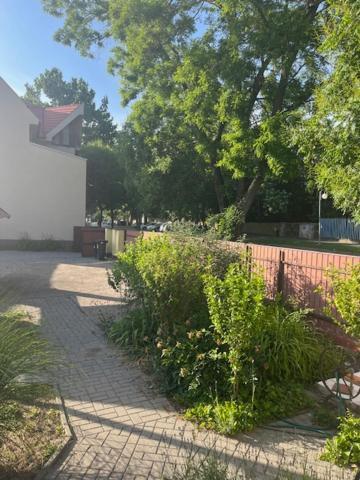 Apartamento Dyta2 Apartman Hajdúszoboszló Exterior foto